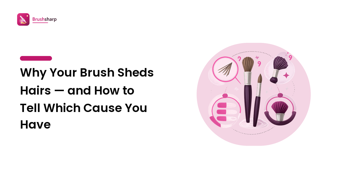 Why Your Brush Sheds Hairs — and How to Tell Which Cause You Have