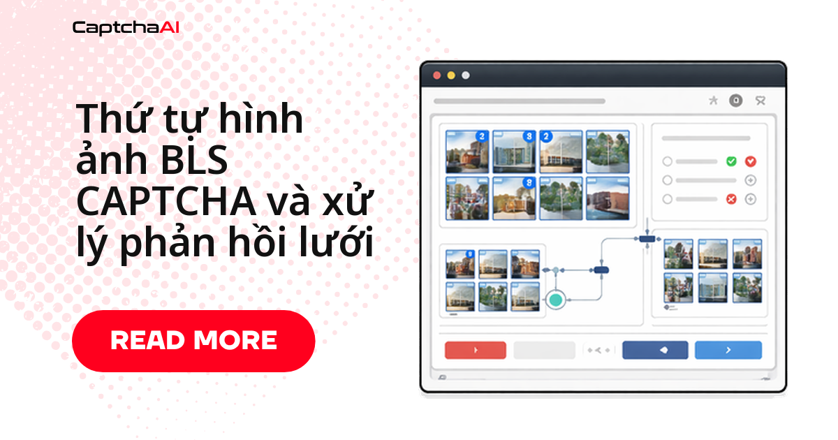 Thứ tự hình ảnh BLS CAPTCHA và xử lý phản hồi lưới