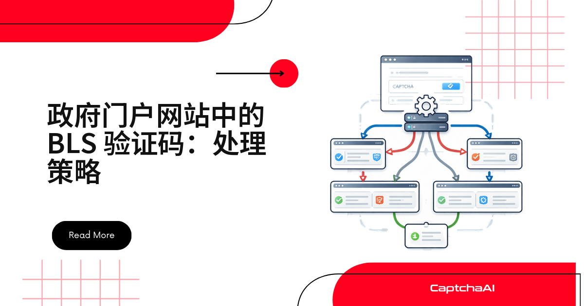 政府门户网站中的 BLS 验证码：处理策略