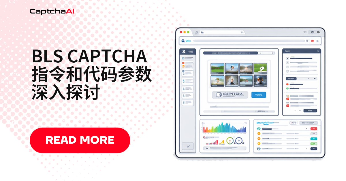 BLS CAPTCHA 指令和代码参数深入探讨