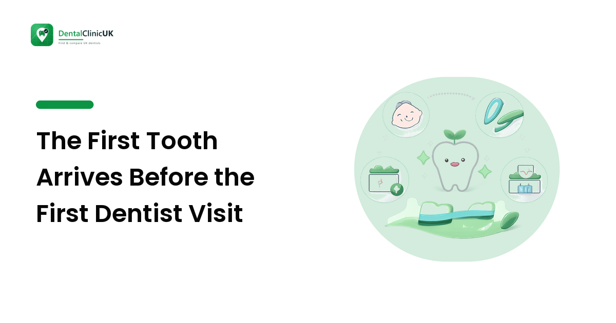 The First Tooth Arrives Before the First Dentist Visit
