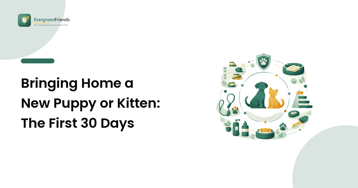 Bringing Home a New Puppy or Kitten: The First 30 Days