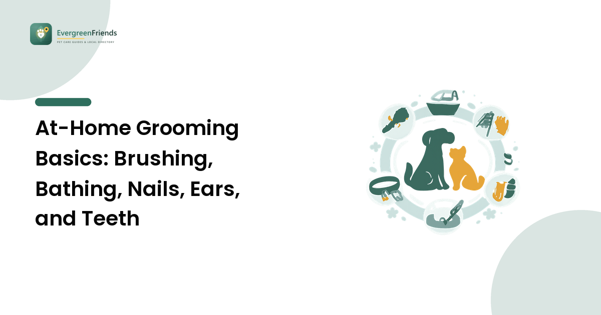At-Home Grooming Basics: Brushing, Bathing, Nails, Ears, and Teeth