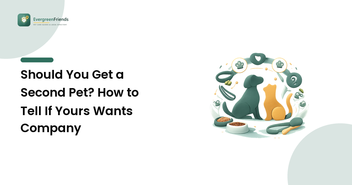 Should You Get a Second Pet? How to Tell If Yours Wants Company