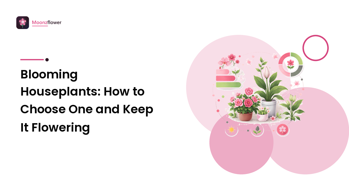 Blooming Houseplants: How to Choose One and Keep It Flowering