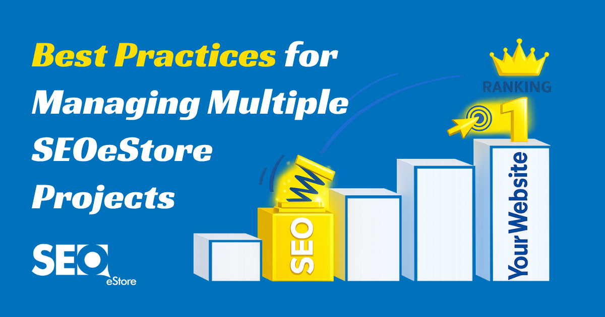 Best Practices for Managing Multiple SEOeStore Projects