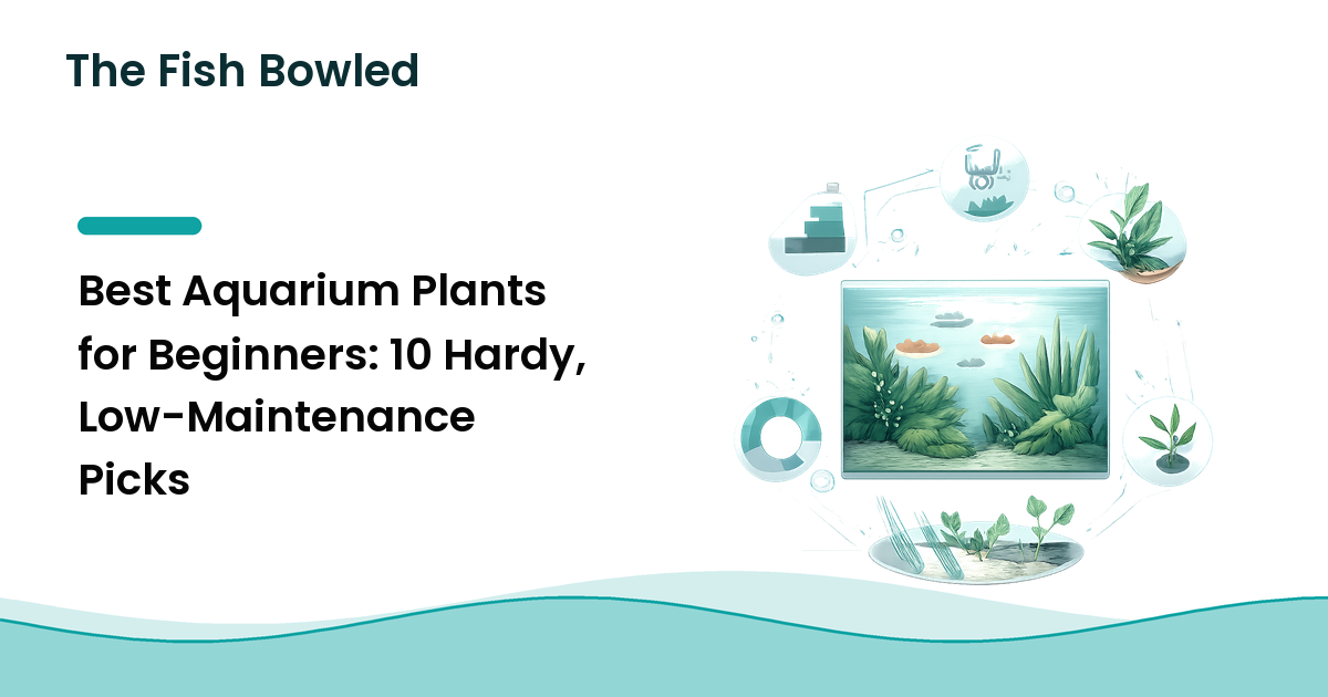 Best Aquarium Plants for Beginners: 10 Hardy, Low-Maintenance Picks