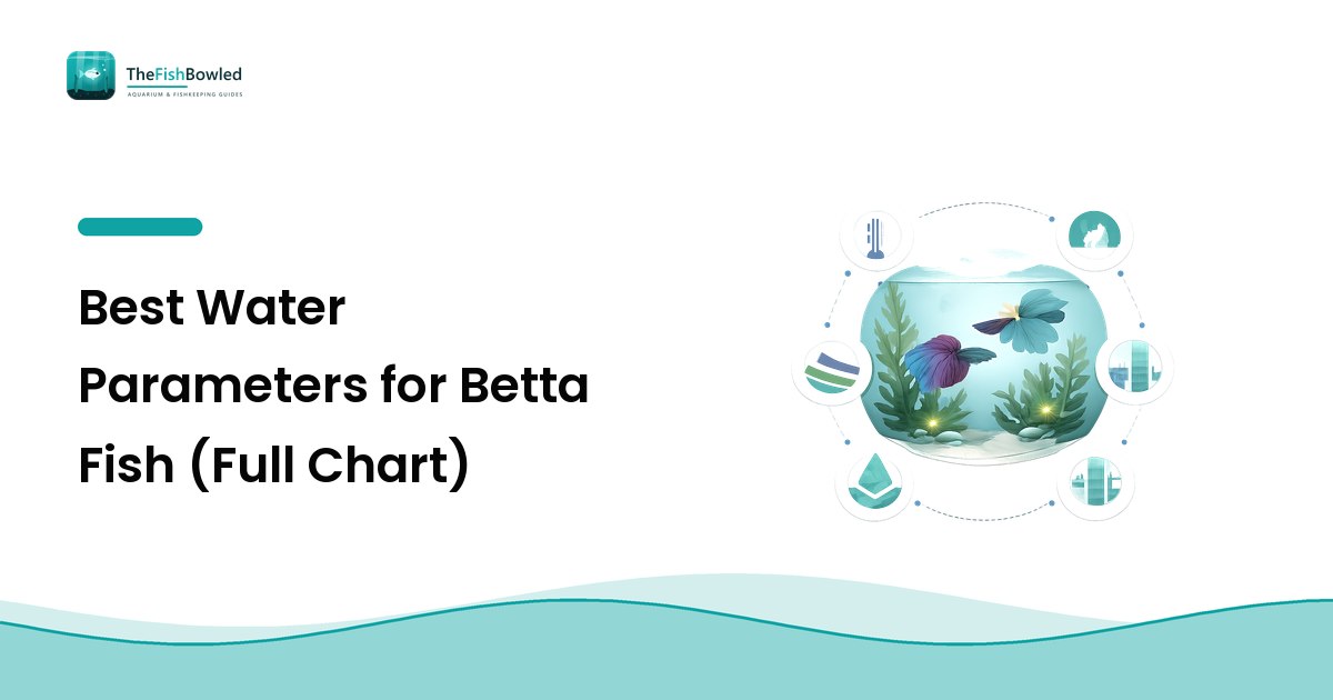 Best Water Parameters for Betta Fish (Full Chart)