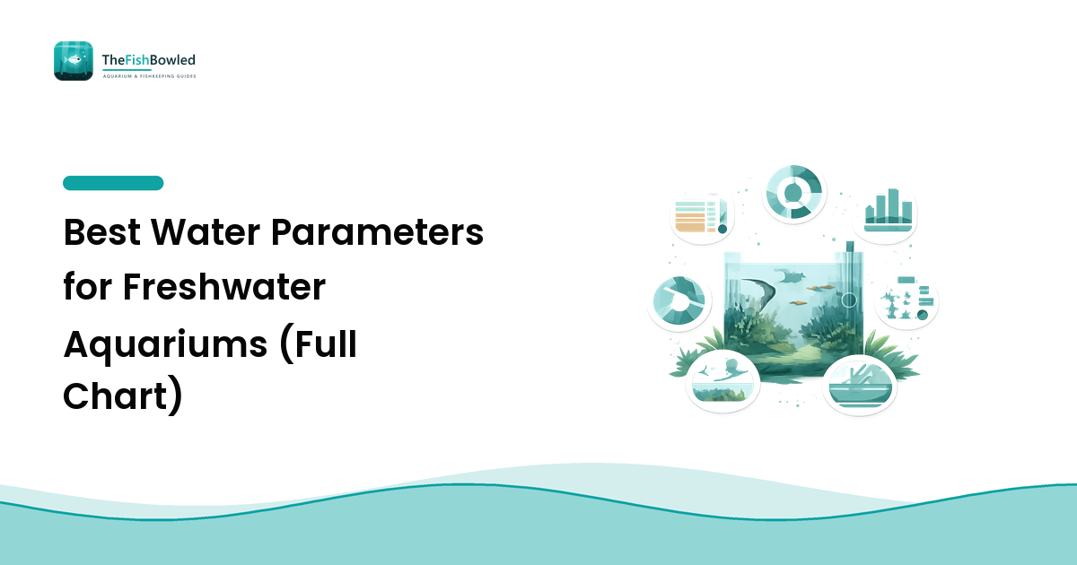Best Water Parameters for Freshwater Aquariums (Full Chart)